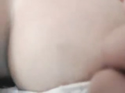 bunni_