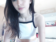 fancyv webcam