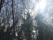 POV Outdoor Public Blowjob