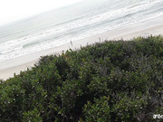 beach bj
