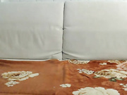 _avrora_