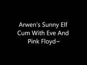 arwen the elf
