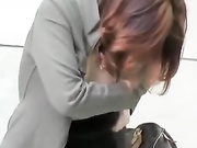 Sharking a Japanesse