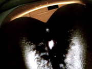 Creampie reinigende Toilette