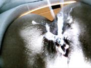 Creampie reinigende Toilette