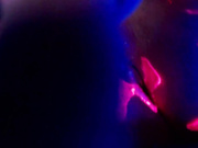 Blacklight