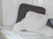 downloads camshow