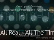 Female Close-up Orgasm
