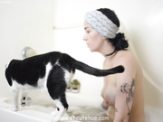 When your cat doesn't approve of what you're doing...lol