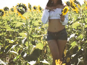 Aracely SunFlower