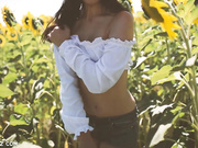 Aracely SunFlower