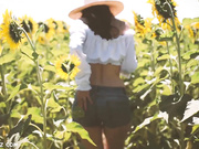 Aracely SunFlower