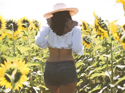 Aracely SunFlower