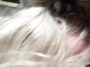 Izzy 1