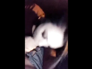 SEX BLOWJOB PUBLIC RESTAURANT TABLE!