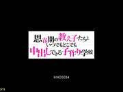 HNDS-034