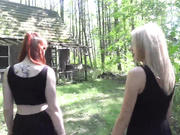 Fairies in cabin