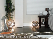 alexapond 20180816