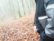 a relaxing morning walk in the woods