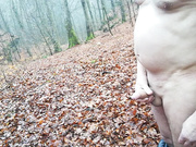 a relaxing morning walk in the woods
