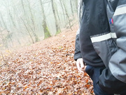 a relaxing morning walk in the woods
