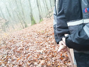 a relaxing morning walk in the woods