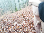 a relaxing morning walk in the woods