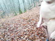 a relaxing morning walk in the woods