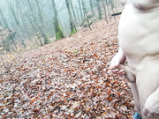 a relaxing morning walk in the woods