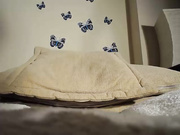 Lorywow 17min wet pussy