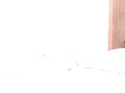 Mothandrust 15 1h02min