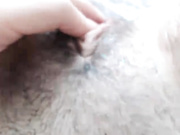 Katnisevergreen - pussy closeups shower