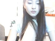 fancyv