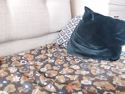 dildo