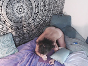 Zabrina bed