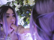 Emilygrey reflections bj