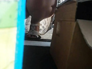 Downblouse_1