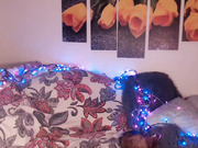 katkittykate