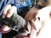 clair public bj