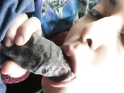 clair public bj