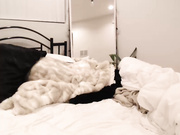 averyblack webcam show