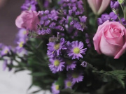 Ashe_Maree - Pink Petals