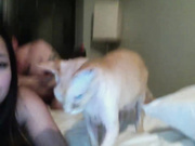 artgroovys Cam Show @ Chaturbate 09022016