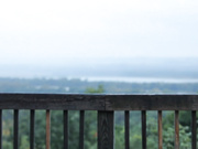 Chr0nicl0ve69 - Rainy Day W00ds
