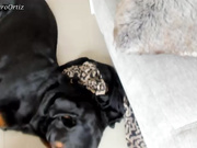 caroorttiz 28-03-2019
